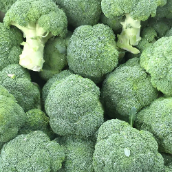 Brocoli