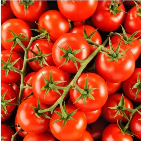 Tomate grappe-