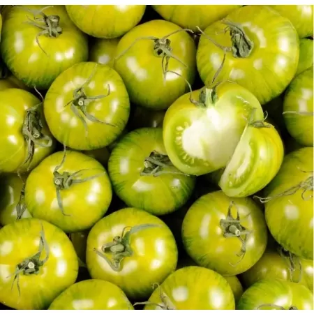 Tomate green zebra-