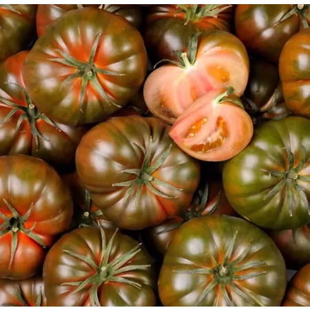 Tomate noire de crimée-