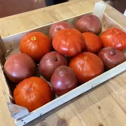 Tomates anciennes 3kg