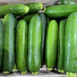 Courgette