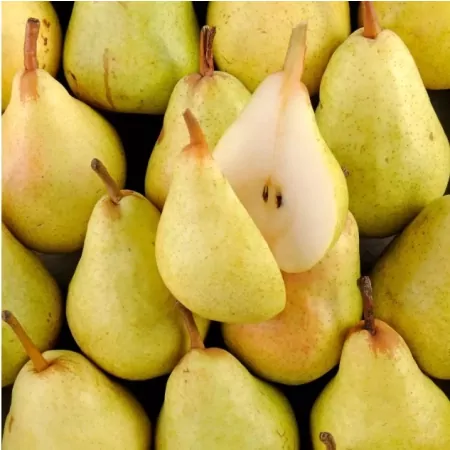 Poire William-