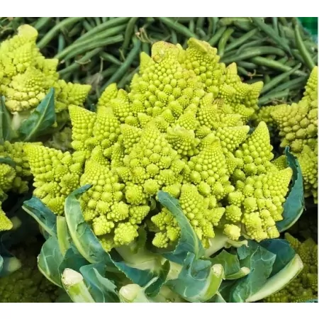 Chou romanesco-