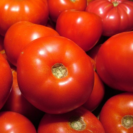 Tomate ronde-