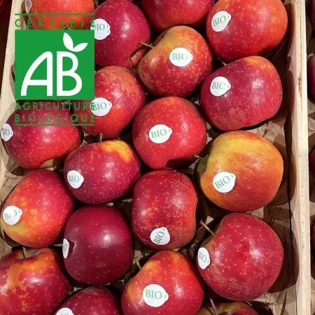 Pomme BIO Ariane-